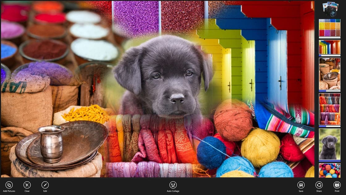 A Coollage collage combining a puppy, craft supplies and colorful shop displays